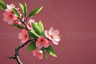 һʢ_