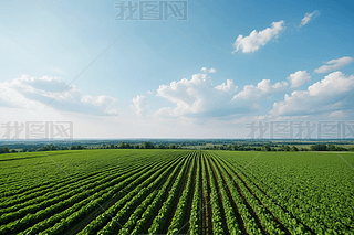 r(nng)I(y)BDG~،DƬ