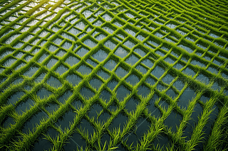 r(nng)I(y)߽Ƕˮ،DƬ