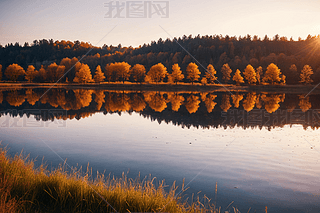 ľݵϦ¸،DƬ
