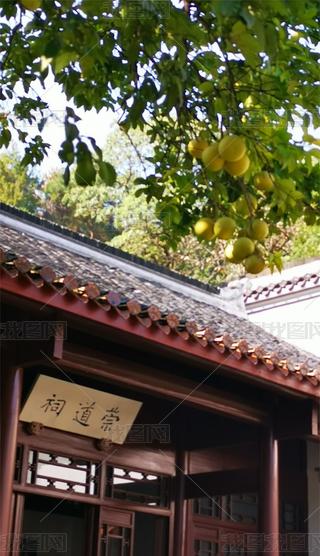 20240415´(sh)ԺӘ(sh)