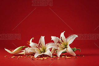 tɫ؛ζʳƷٺϸӸĈDƬ