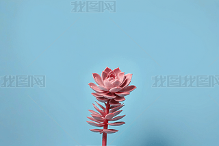 ۼtɫֲﻨ~ܛ{(ln)ɫDƬ