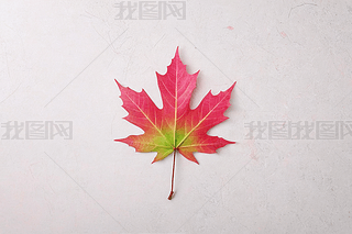 ۼtɫGɫ~켾DƬ