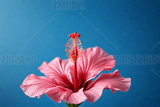 {ɫɫľxԾ۽،R^DƬ