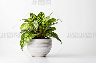 ҃(ni)ֲRmһ(g)йɫDƬ