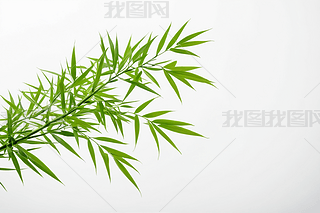 (dng)GɫЙC(j)~،(x)(ji)ɫℓ(chung)ƬDƬ