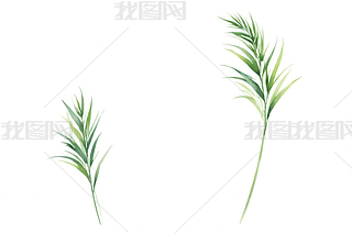 ˮʲݹɫLˎO(sh)Ӌ(j)Ƭӡ(bo)DƬ
