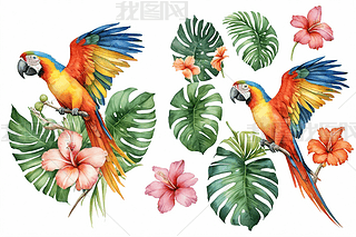 ˮʟᎧbW^B(nio)DƬ