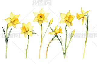 ˮɻˮʮ(hu)Dֲﮋ(hu)SƬO(sh)Ӌ(j)DƬ