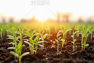 ̫r(sh)l(f)ѿr۾GLDƬ