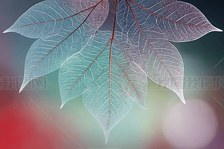 ͸Ǽܠ~ӱγһ(g)Y(ji)(gu)DƬ