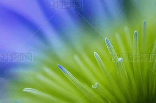 ΢໨ܾGɫ{(ln)ɫ΢zӰ󻨻܈DƬ