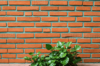 ꖹ³մu²LM˾GɫzֲDƬ