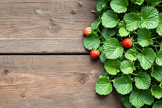 ȻGɫݮ~Lfľ߅@ˇطDƬ