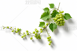 ɫ~оGɫСһ(g)СӰDƬ