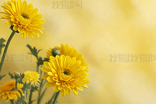 SɫջģֲƴNMɴȻDƬ