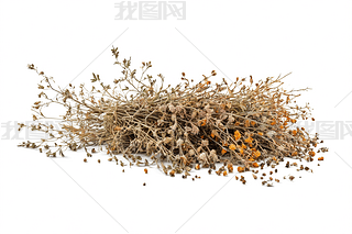 ҰݵֲݲݱֲɫDƬ
