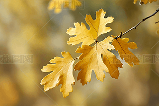 (sh)~׃S˱ģ،(xi)R^DƬ