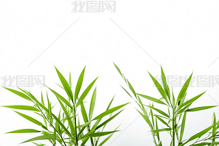 (dng)GɫЙC(j)~،(x)(ji)ɫℓ(chung)ƬDƬ