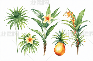 һˮʟᎧDֲˮɫ֮DƬ