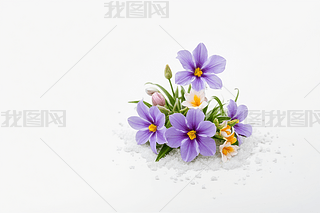 һ컨ѩɏ\ɫgˮƽ܈DƬ