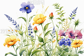 ˮʮҰ݈DƬ