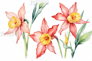 ֲtɫˮɻˮʱDDԪ؈DƬ