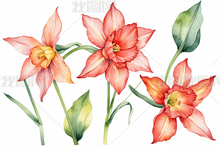 ֲtɫˮɻˮʱDDԪ؈DƬ