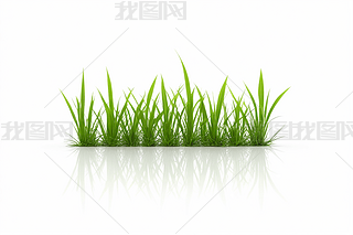 Dۼtɫ{ɫ_mɫC򻨈DƬ