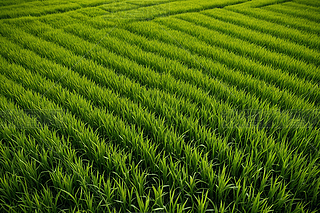 ˮˮֲﵾﵾﵾ،DƬ