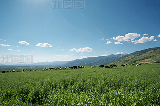 ţaǰϻޣh(yun)̎Ⱥɽ{(ln)،DƬ