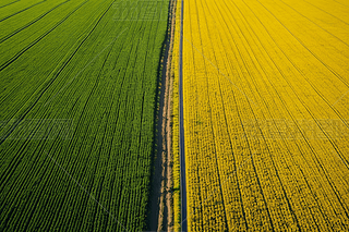 þGɫSɫֱ·r(nng)BD،DƬ