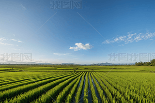 f(wn)o(w)һML(fng)،DƬ