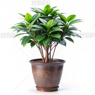 F҃(ni)ֲﺆsL(fng)zӰD̘I(y)ز