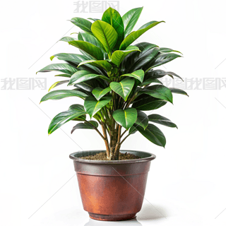 F҃(ni)ֲﺆsL(fng)zӰD̘I(y)ز