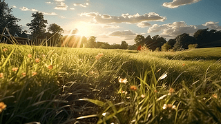 ꖹ͸^݅Ͷ°gĹӰ