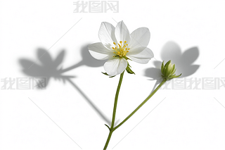 ɫһɫСЃɂLLӰӈDƬ