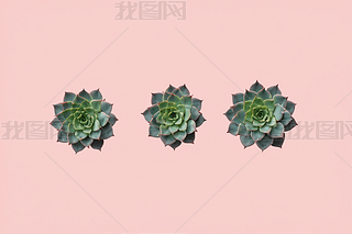 ֲ