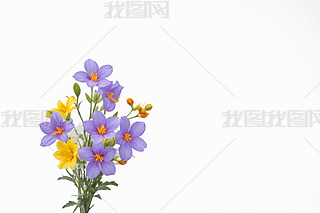 һ컨ѩɏ\ɫgˮƽ܈DƬ