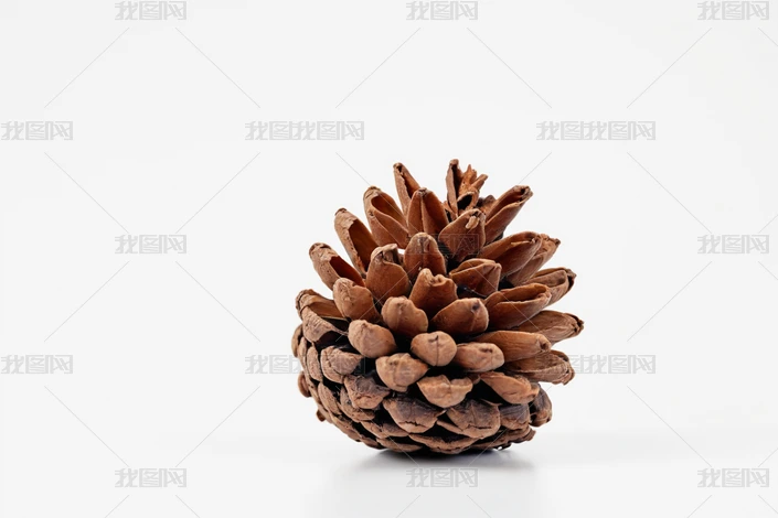 ɹ