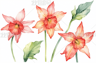 ֲtɫˮɻˮʱDDԪ؈DƬ