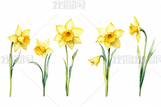 ˮɻˮʮDֲﮋSƬO(sh)Ӌ(j)DƬ