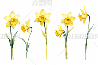 ˮɻˮʮDֲﮋSƬO(sh)Ӌ(j)DƬ