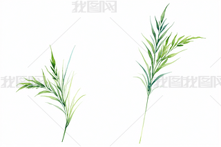 ˮʲݹɫLˎO(sh)Ӌ(j)Ƭӡ(bo)DƬ