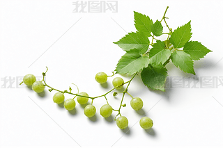 ɫ~оGɫСһ(g)СӰDƬ