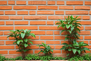 ꖹ³մu²LM˾GɫzֲDƬ