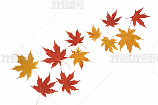 ˮɻˮʮ(hu)Dֲﮋ(hu)SƬO(sh)Ӌ(j)DƬ