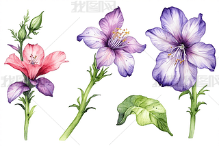 ˮՈ(qng)?jin)O(sh)Ӌ(j)LܽMɹɫDƬ