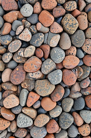 rʯƬ